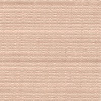 Вертикальные жалюзи СЕУЛ, Персиковый (4221)