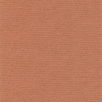 Вертикальные жалюзи СИДЕ, Мокко (2865)